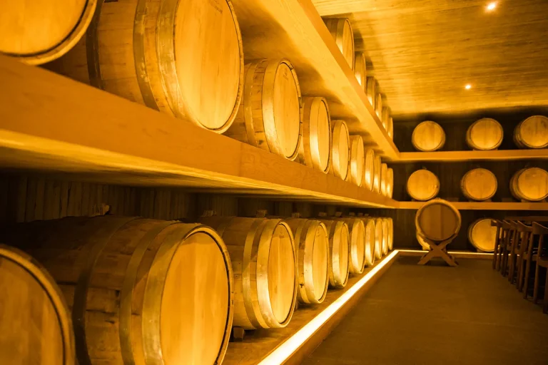 2015 – Brand evolution